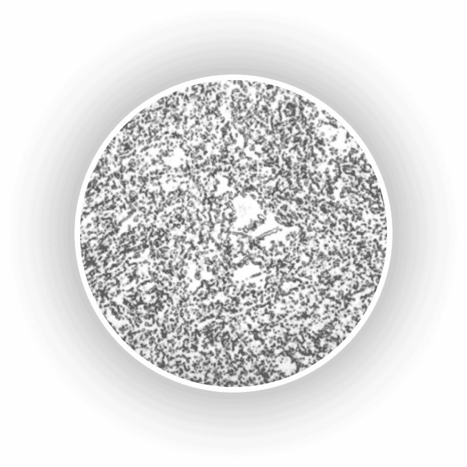 A black and white image of a circle.